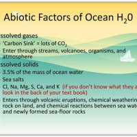 Ocean Abiotic Factors Chart S