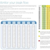 Omron Peak Flow Meter Chart