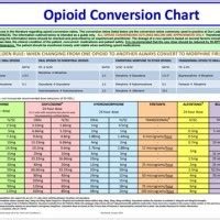 Opioid Gesic Parison Chart