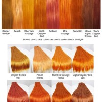 Orange Hair Color Chart