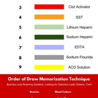 Order Of Draw Phlebotomy Chart Uk