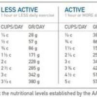 Orijen Dog Food Feeding Chart