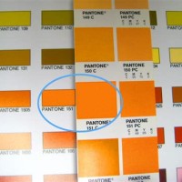 Outrageous Paint Color Chart