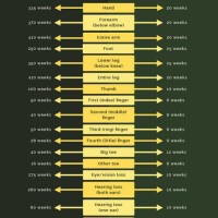 Pa Workers Pensation Specific Loss Chart