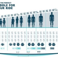 Paddle Board Height Chart