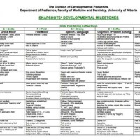 Paediatric Developmental Milestones Chart