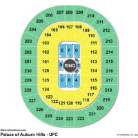 Palace Of Auburn Hills Seating Chart Concert