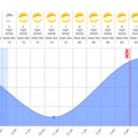 Palm Beach Tide Chart Mobile Graphics Design