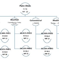 Palm Oil Fractionation Flow Chart