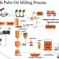 Palm Oil Mill Processing Flow Chart