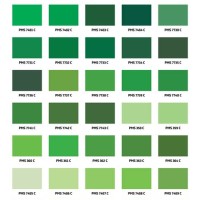 Pantone Green Color Chart