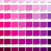 Pantone Pink Color Chart