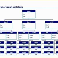 Pany Chart Template