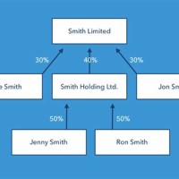 Pany Ownership Structure Chart