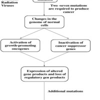 Pathophysiology Of T Cancer In Flow Chart