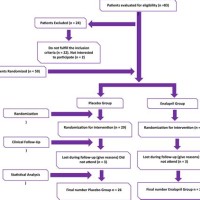 Patient Flow Chart Clinical Trial