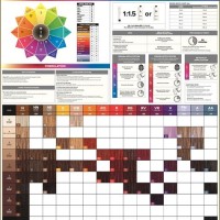 Paul Mitc Pm Shines Chart