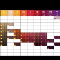 Paul Mitc The Color Xg Chart