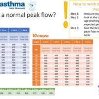 Peak Expiratory Flow Chart Nz