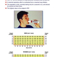 Peak Expiratory Flow Chart Nzqa