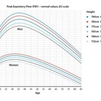 Peak Flow Chart Asthma Uk