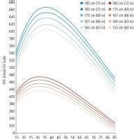 Peak Flow Chart British Thoracic Society