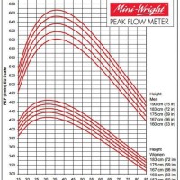 Peak Flow Chart By Age