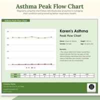 Peak Flow Chart Excel