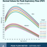 Peak Flow Chart For Asthmatics