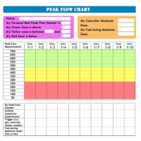 Peak Flow Chart Patient Uk