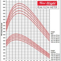 Peak Flow Meter Chart Adolescent