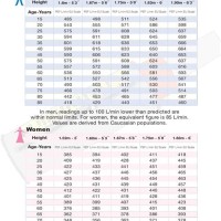 Peak Flow Meter Chart