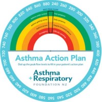 Peak Flow Zone Chart Asthma