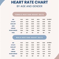 Pediatric Heart Rate Chart By Age And Gender