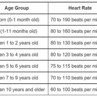 Pediatric Resting Heart Rate Chart