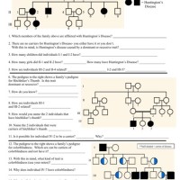 Pedigree Charts Worksheet S Background Information