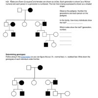 Pedigree Charts Worksheet S