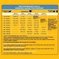 Pedigree Puppy Chow Feeding Chart