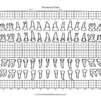 Periodontal Charting Form