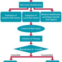 Periodontal Protocol Flow Chart 2019