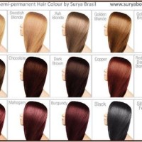 Permanent Hair Colour Chart