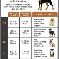 Petsmart Harness Size Chart