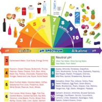 Ph Acid Alkaline Food Chart