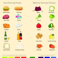 Ph Food Chart For Gerd