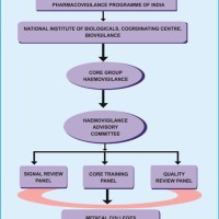 Pharovigilance Process Flow Chart