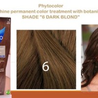 Phyto Hair Dye Color Chart