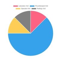 Pie Chart Using Angular 2