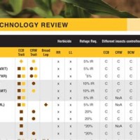 Pioneer Corn Seed Size Chart