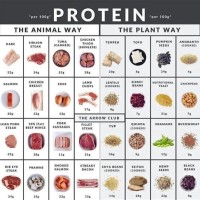 Plant Protein Vs Animal Chart