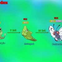 Pokemon Caterpie Evolution Chart